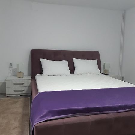 Apartament Magnolia Nearby City Center With Parking Sibiu Exterior foto